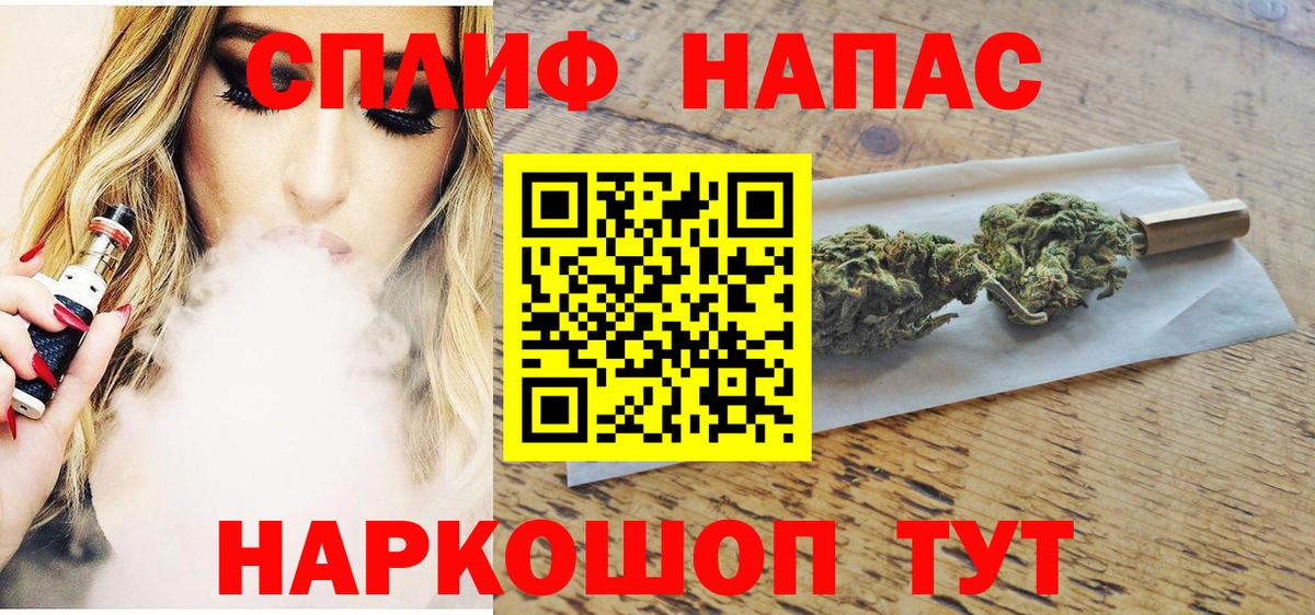Канабис планчик Кохма